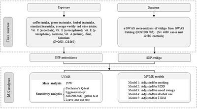 The effect of antioxidant dietary supplements and diet-derived circulating antioxidants on vitiligo outcome: evidence from genetic association and comprehensive Mendelian randomization